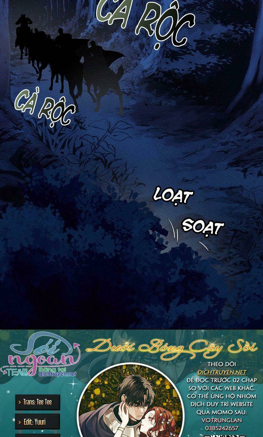 Dưới Tán Cây Sồi Chapter 17 - Trang 2