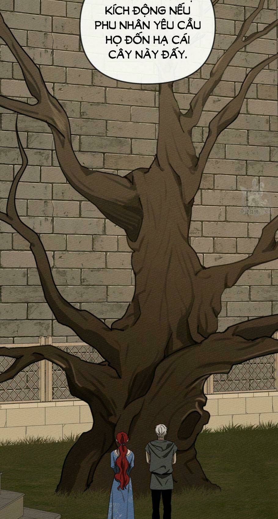 Dưới Tán Cây Sồi Chapter 18 - Trang 2