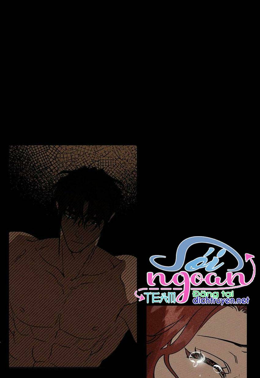 Dưới Tán Cây Sồi Chapter 2 - Trang 2