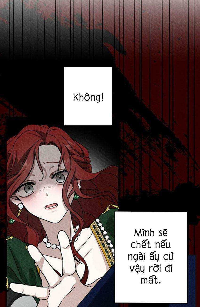 Dưới Tán Cây Sồi Chapter 2 - Trang 2