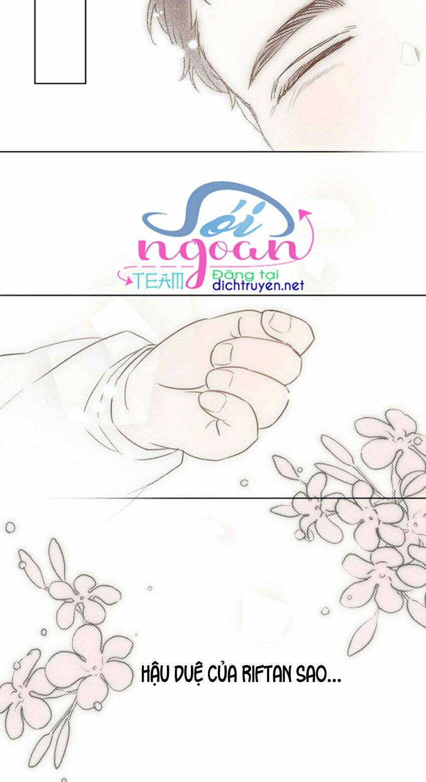 Dưới Tán Cây Sồi Chapter 21 - Trang 2