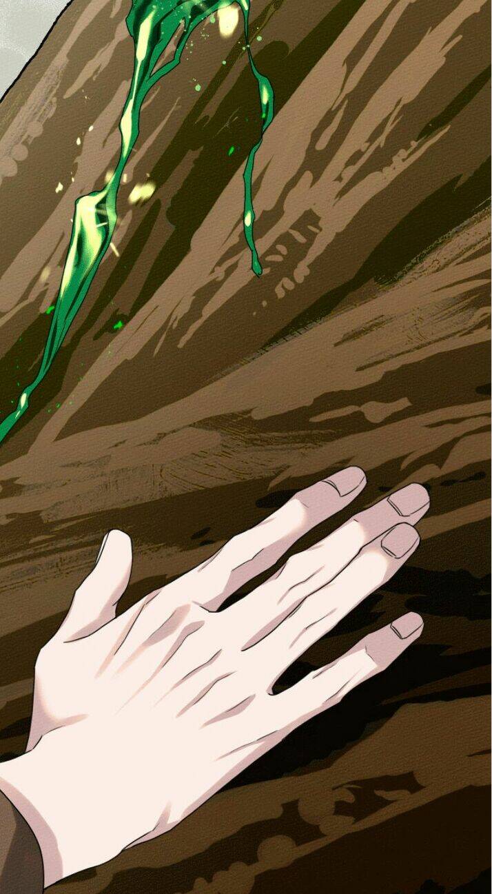 Dưới Tán Cây Sồi Chapter 23 - Trang 2