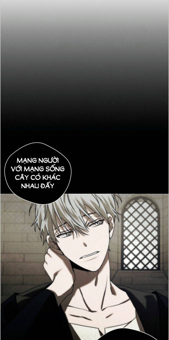 Dưới Tán Cây Sồi Chapter 23 - Trang 2