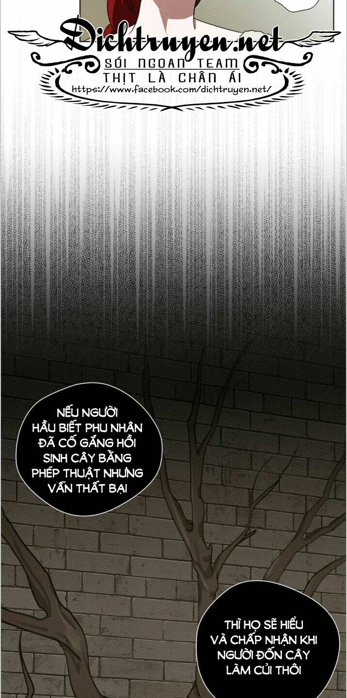 Dưới Tán Cây Sồi Chapter 23 - Trang 2