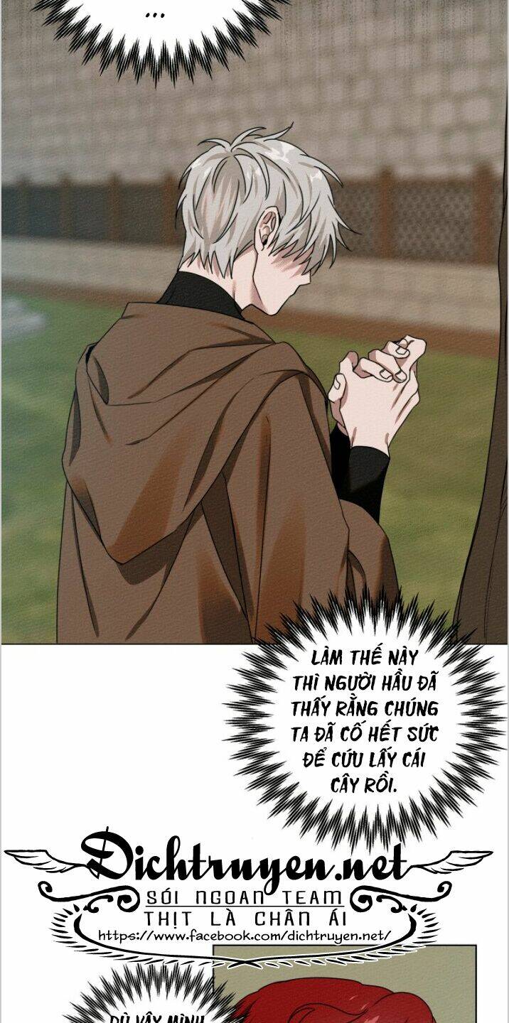 Dưới Tán Cây Sồi Chapter 23 - Trang 2