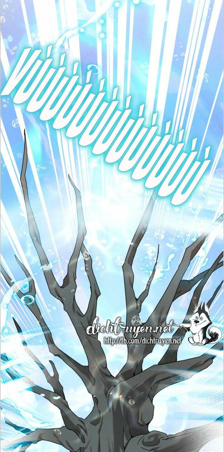 Dưới Tán Cây Sồi Chapter 23 - Trang 2