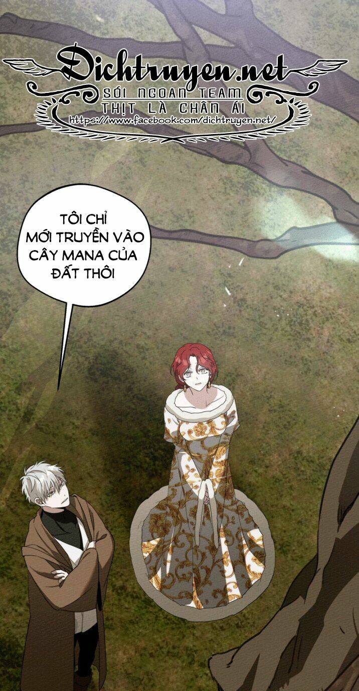 Dưới Tán Cây Sồi Chapter 23 - Trang 2