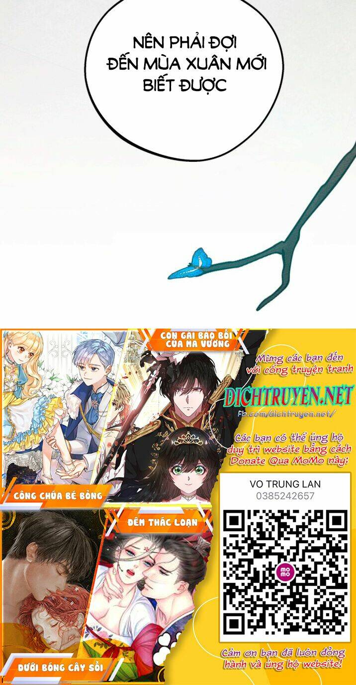 Dưới Tán Cây Sồi Chapter 23 - Trang 2