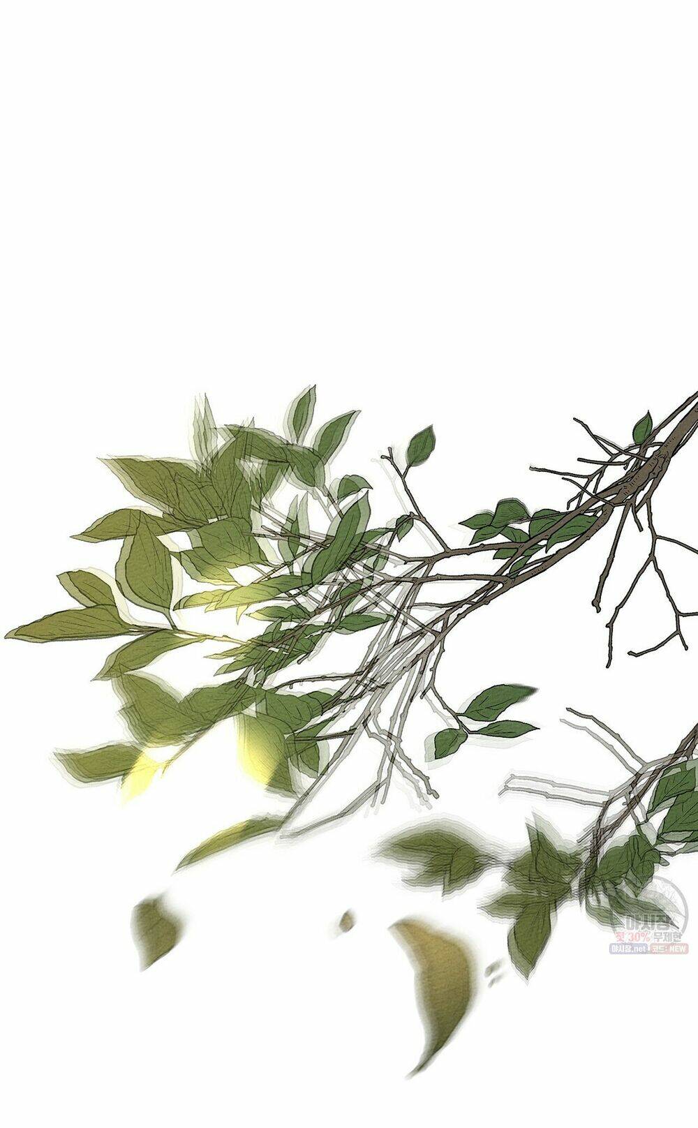 Dưới Tán Cây Sồi Chapter 26 - Trang 2