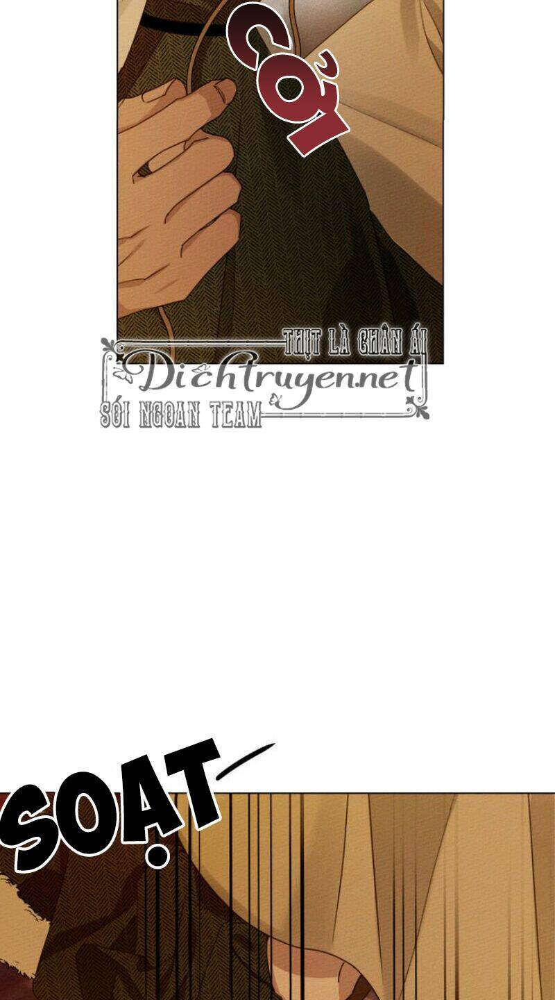 Dưới Tán Cây Sồi Chapter 27 - Trang 2