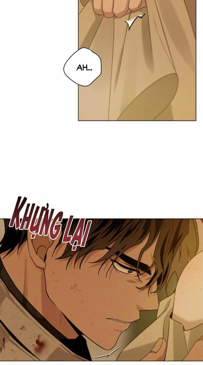 Dưới Tán Cây Sồi Chapter 27 - Trang 2