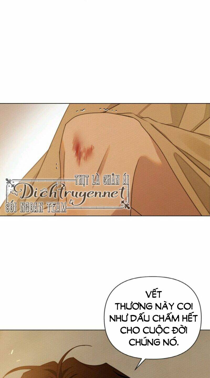 Dưới Tán Cây Sồi Chapter 27 - Trang 2