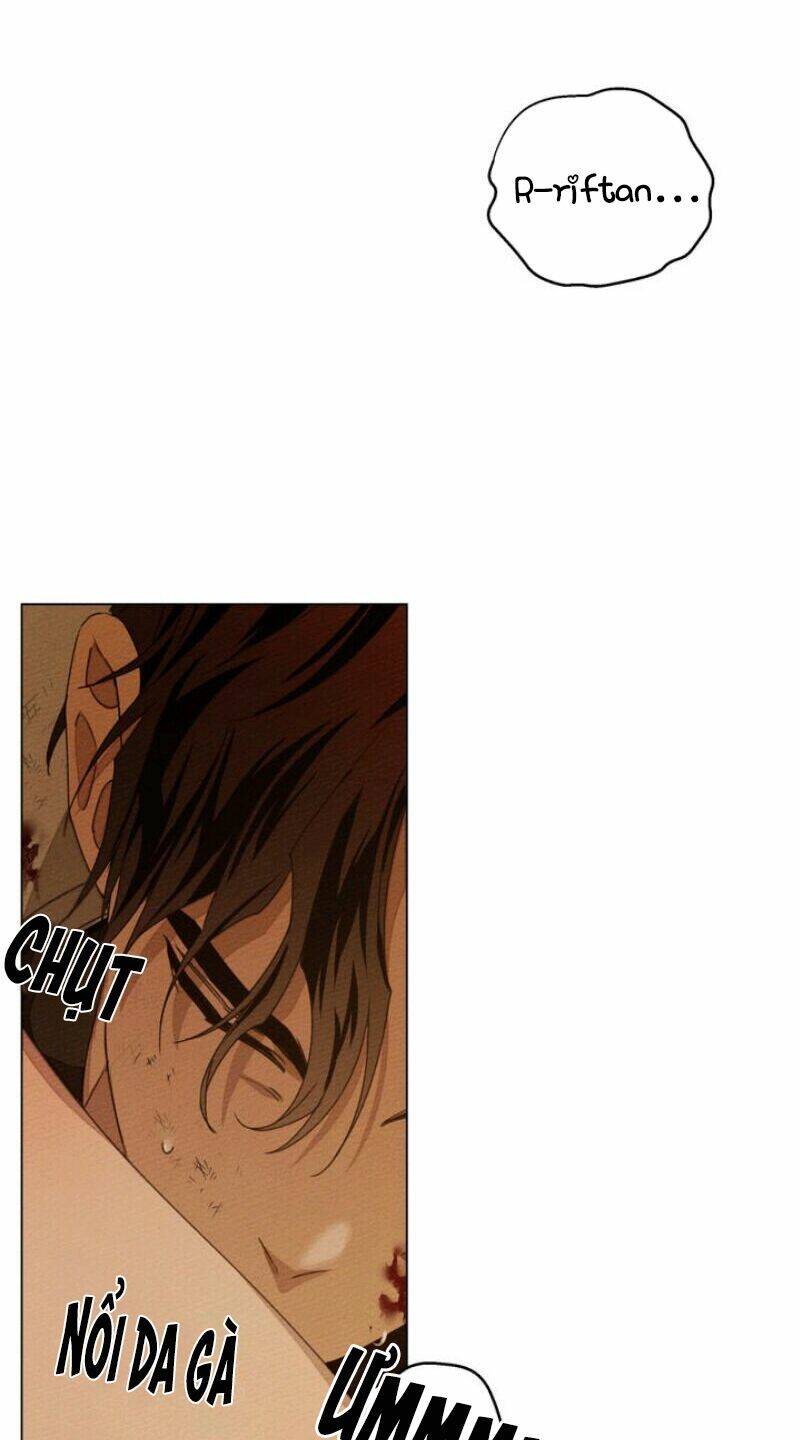 Dưới Tán Cây Sồi Chapter 27 - Trang 2