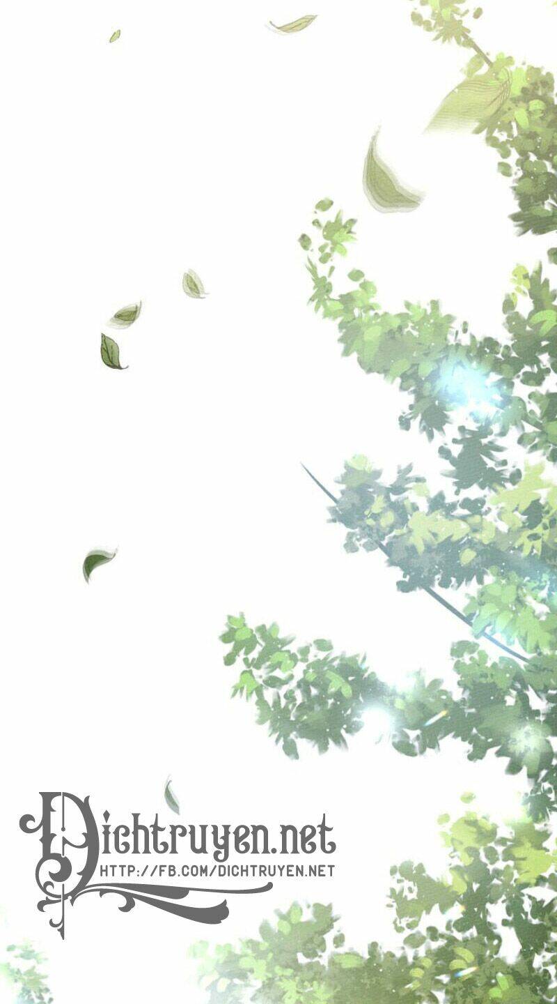 Dưới Tán Cây Sồi Chapter 29 - Trang 2