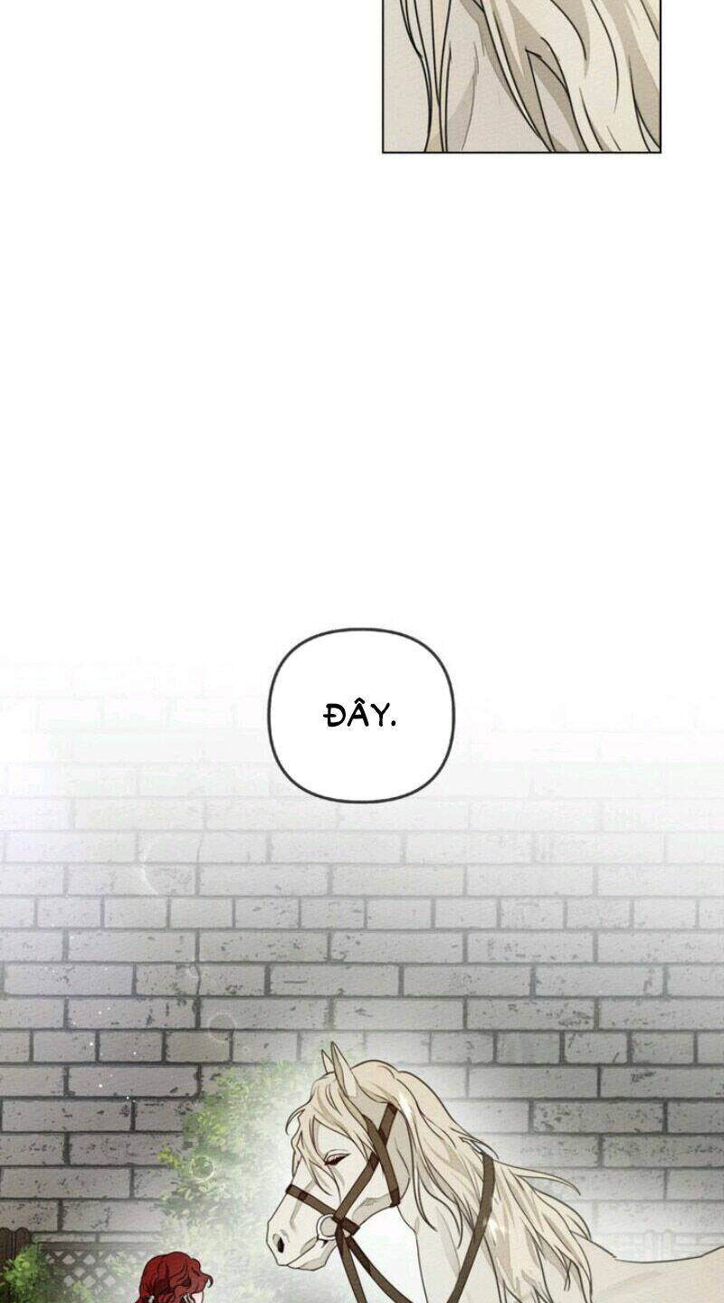 Dưới Tán Cây Sồi Chapter 29 - Trang 2