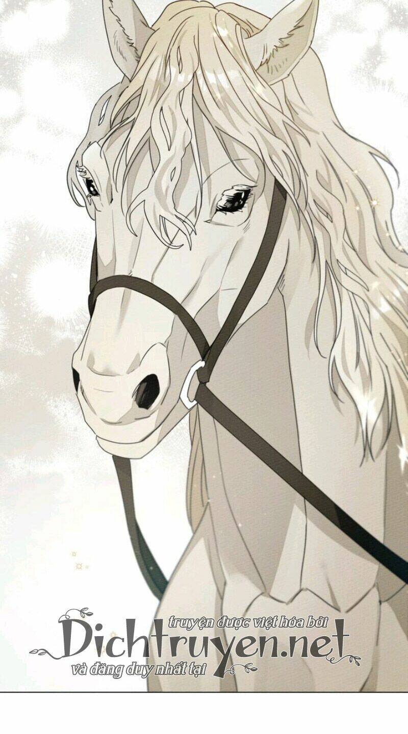 Dưới Tán Cây Sồi Chapter 29 - Trang 2