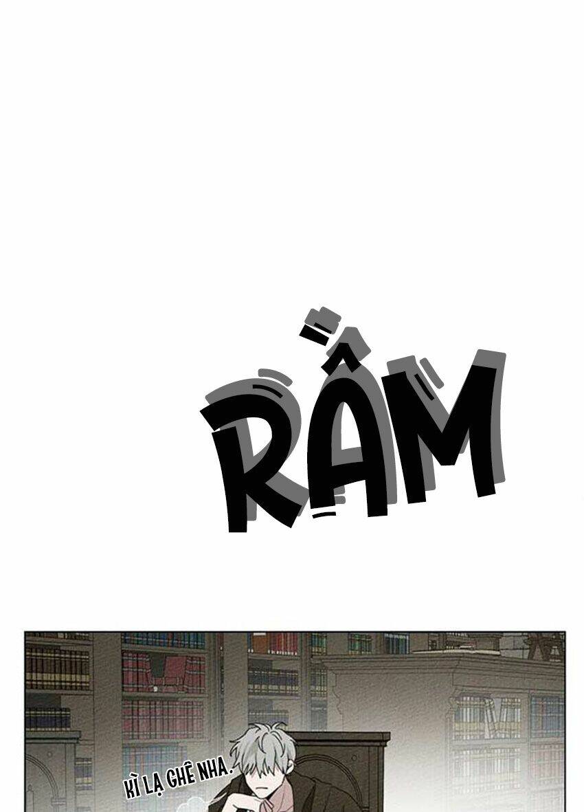 Dưới Tán Cây Sồi Chapter 32 - Trang 2