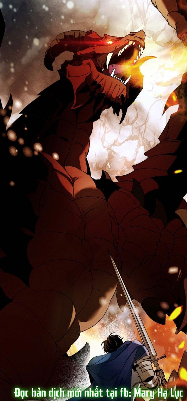 Dưới Tán Cây Sồi Chapter 35 - Trang 2