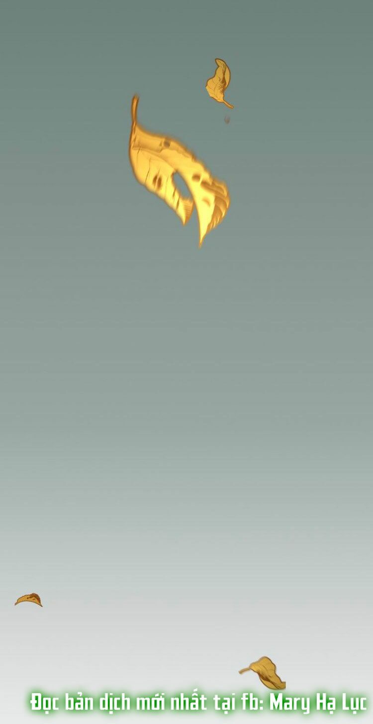 Dưới Tán Cây Sồi Chapter 35 - Trang 2