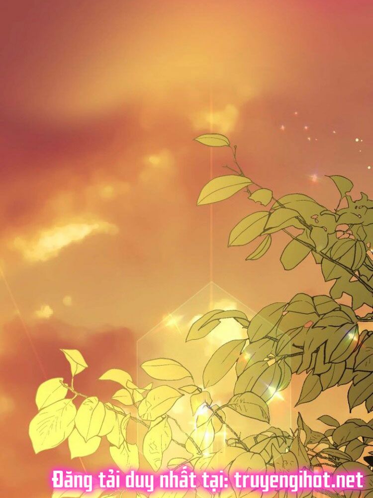 Dưới Tán Cây Sồi Chapter 35 - Trang 2