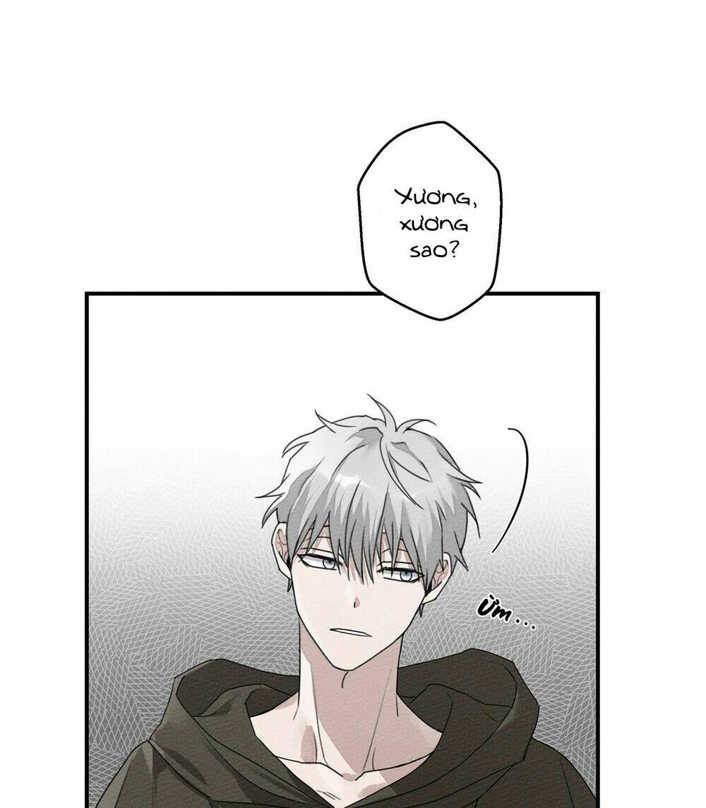 Dưới Tán Cây Sồi Chapter 36 - Trang 2