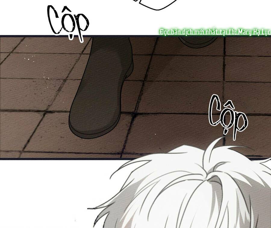 Dưới Tán Cây Sồi Chapter 38 - Trang 2