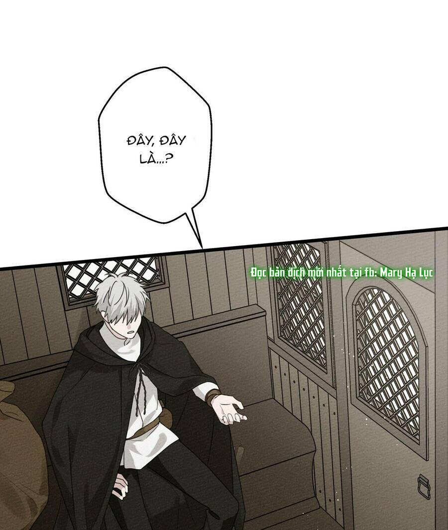 Dưới Tán Cây Sồi Chapter 38 - Trang 2