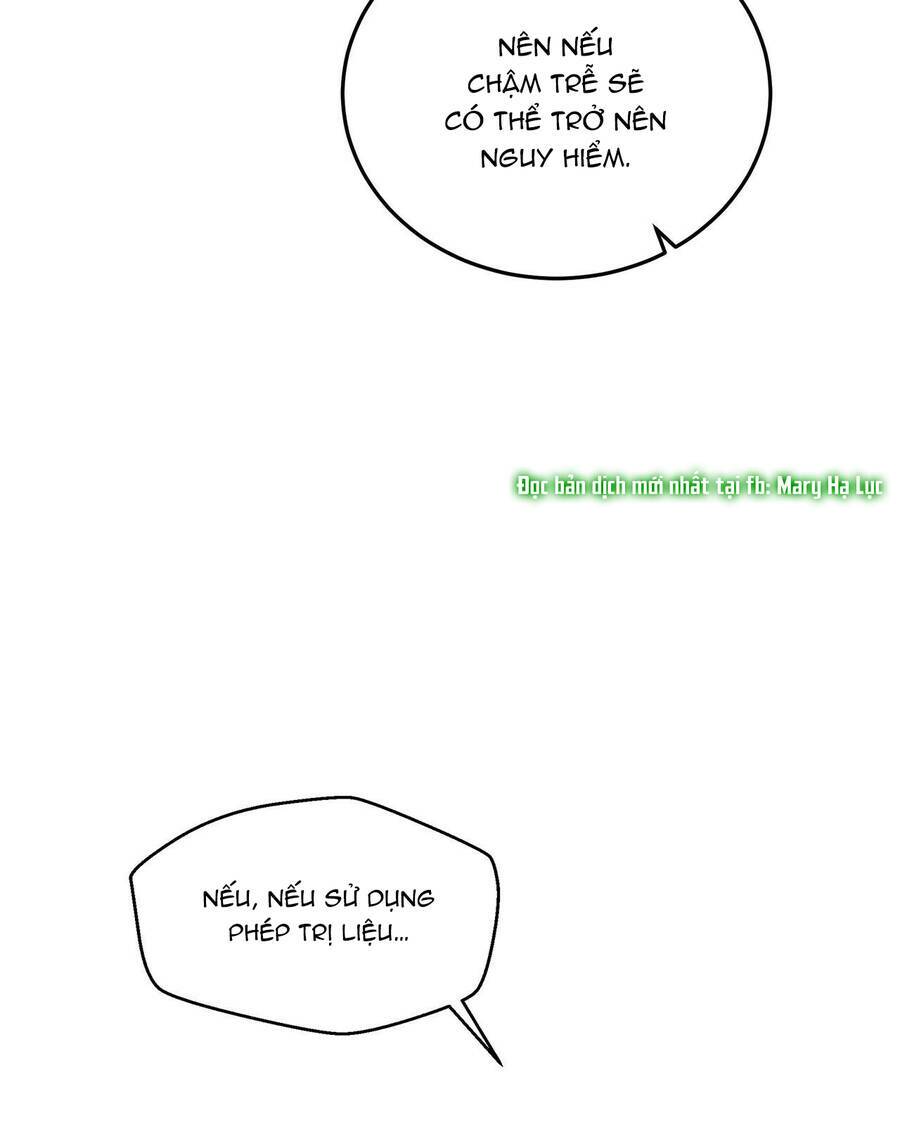 Dưới Tán Cây Sồi Chapter 38 - Trang 2