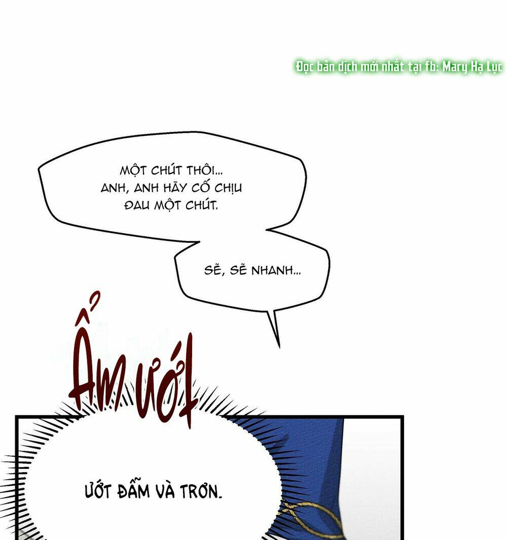 Dưới Tán Cây Sồi Chapter 39 - Trang 2