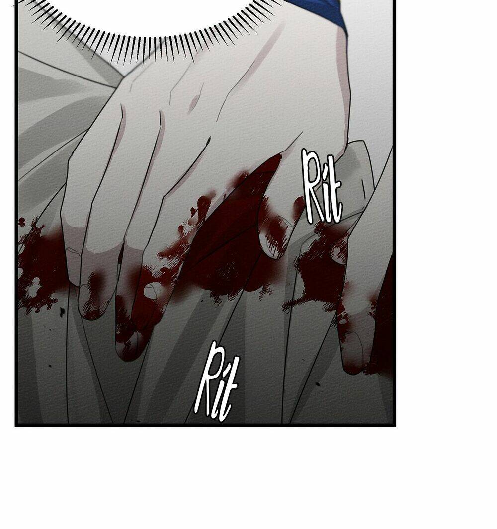 Dưới Tán Cây Sồi Chapter 39 - Trang 2