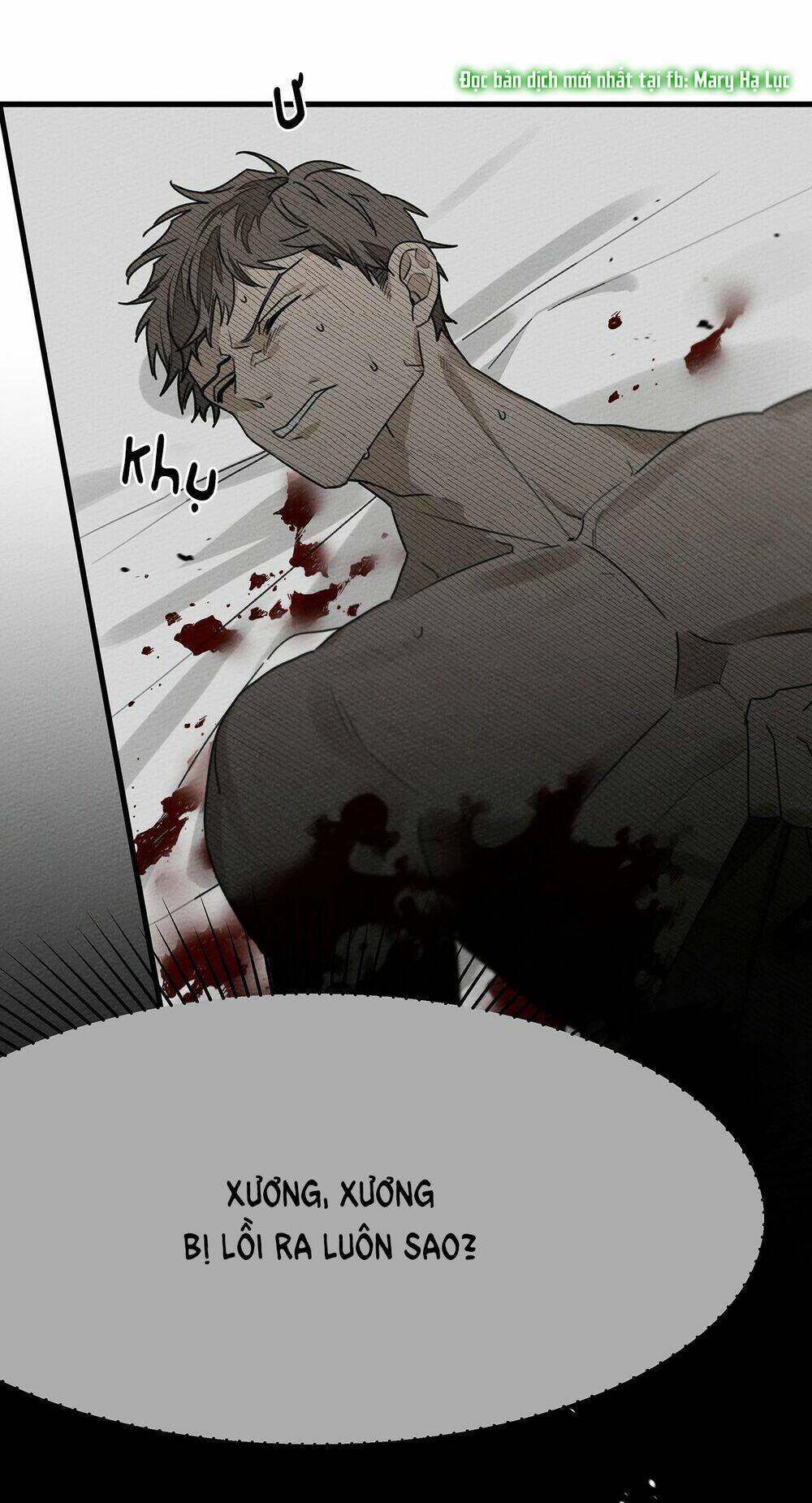 Dưới Tán Cây Sồi Chapter 39 - Trang 2