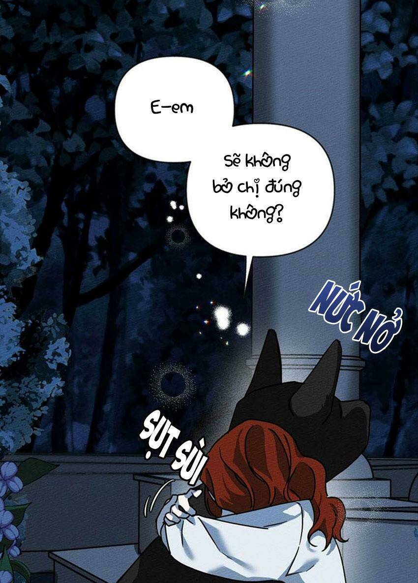 Dưới Tán Cây Sồi Chapter 4 - Trang 2