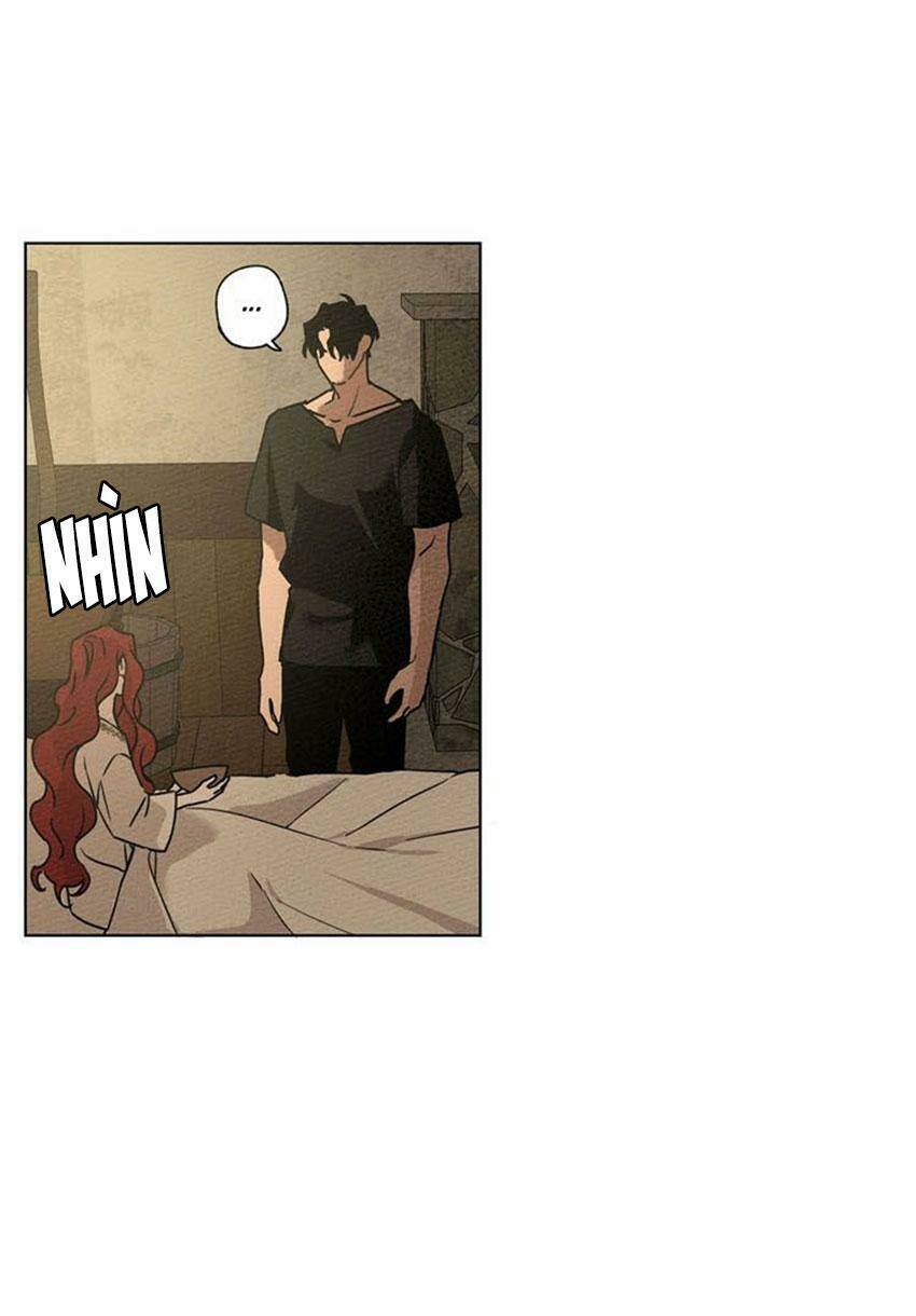 Dưới Tán Cây Sồi Chapter 4 - Trang 2