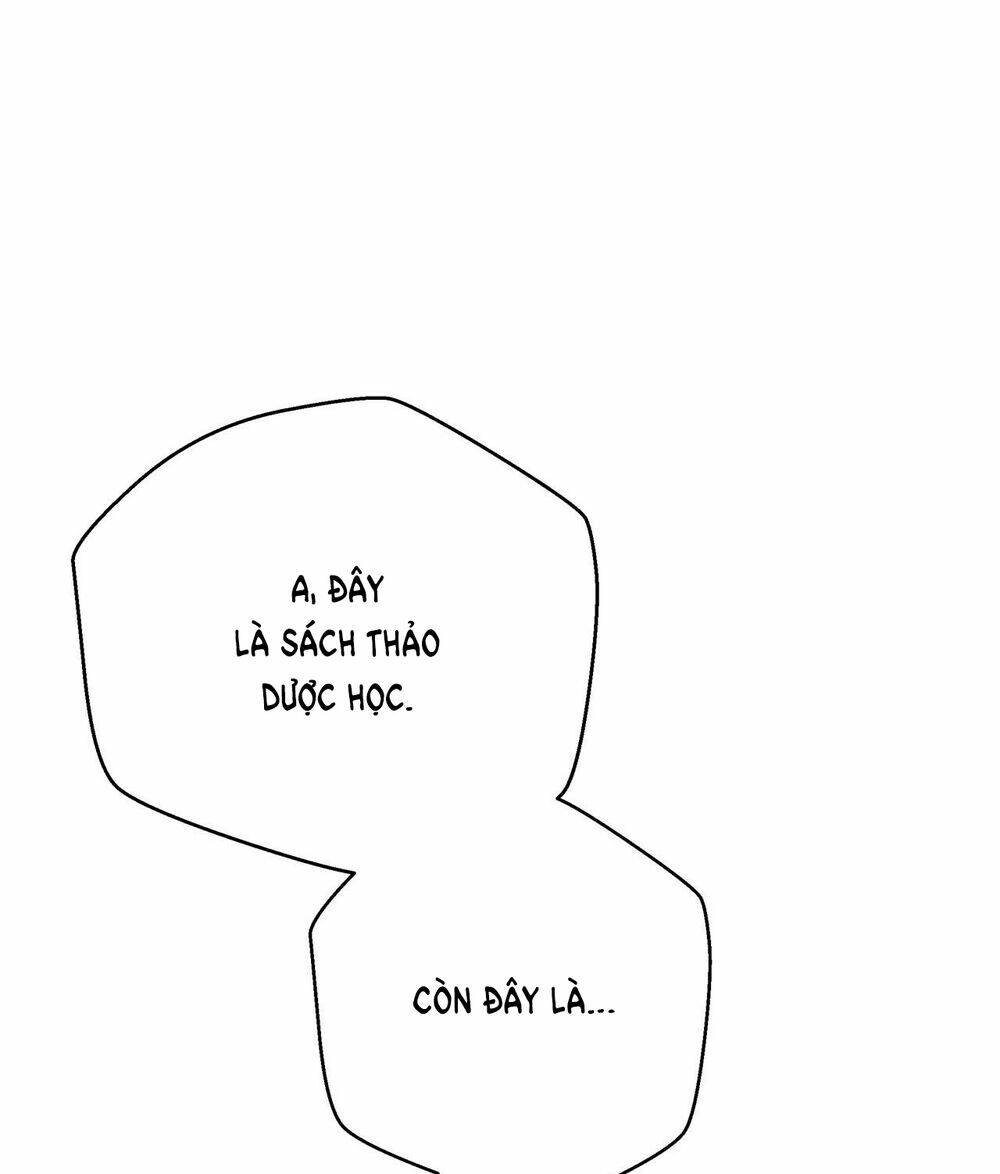 Dưới Tán Cây Sồi Chapter 41.1 - Trang 2