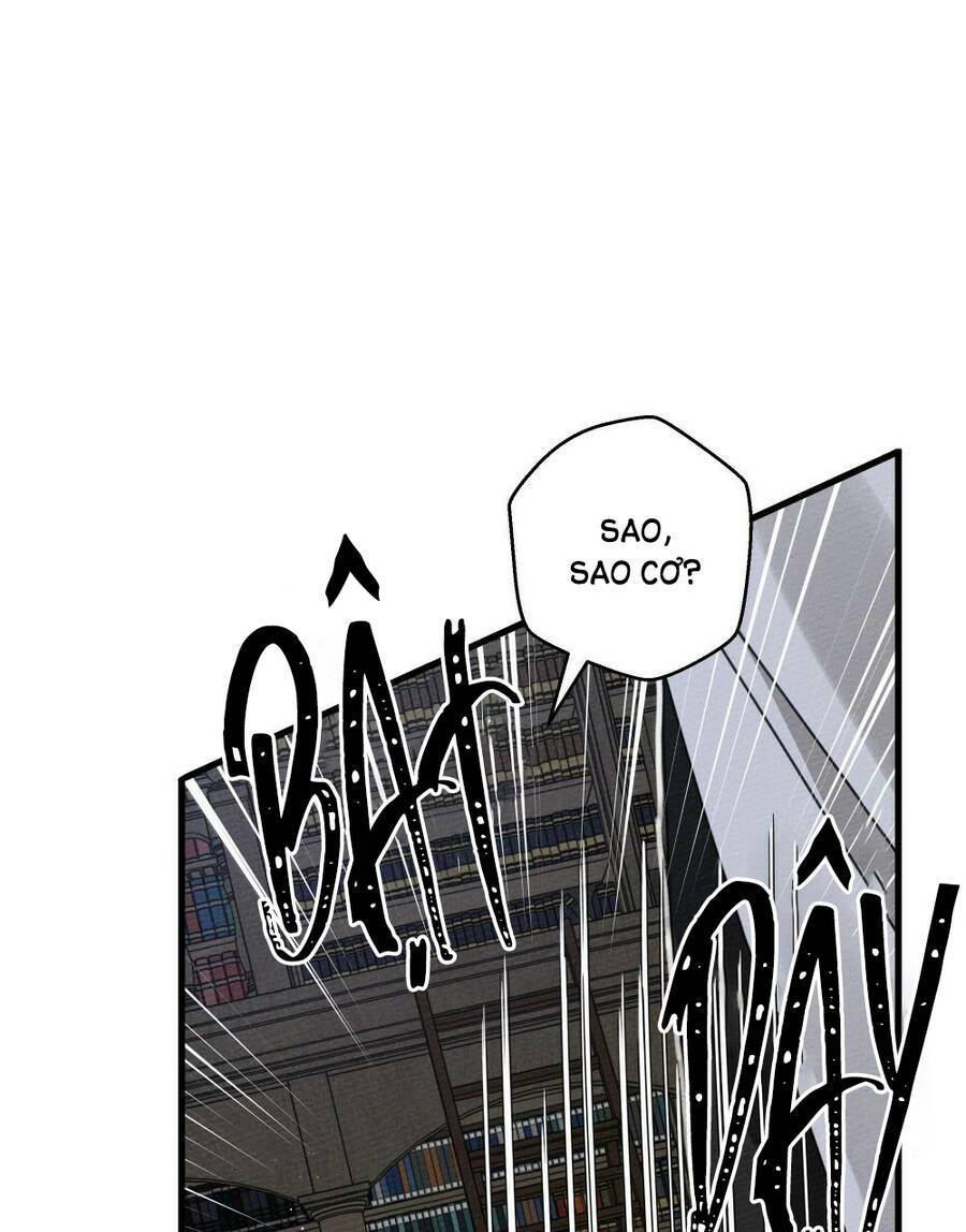 Dưới Tán Cây Sồi Chapter 42.1 - Trang 2