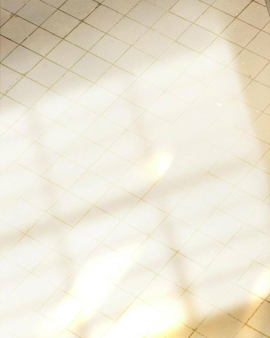 Dưới Tán Cây Sồi Chapter 42.2 - Trang 2