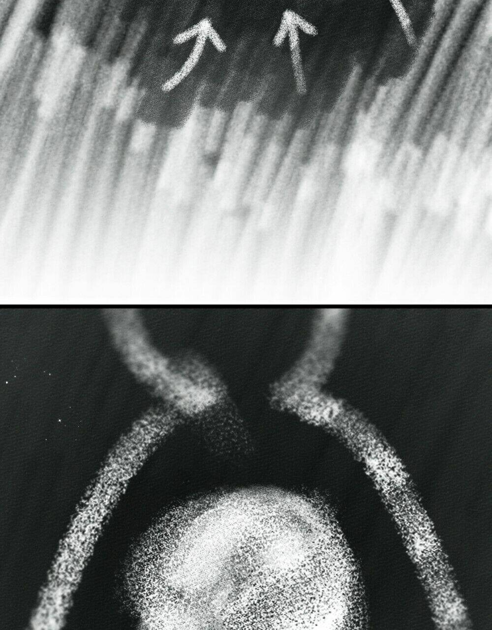 Dưới Tán Cây Sồi Chapter 43.2 - Trang 2