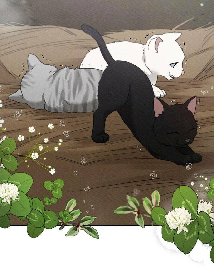 Dưới Tán Cây Sồi Chapter 46.1 - Trang 2