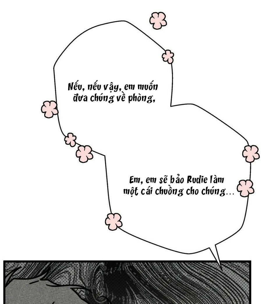 Dưới Tán Cây Sồi Chapter 46.1 - Trang 2