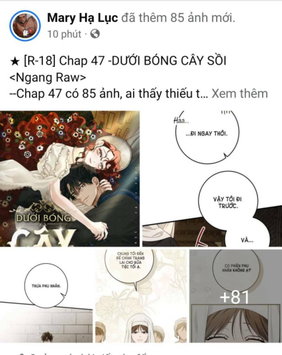 Dưới Tán Cây Sồi Chapter 47.1 - Trang 2