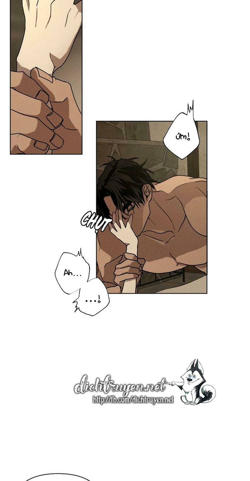 Dưới Tán Cây Sồi Chapter 5 - Trang 2