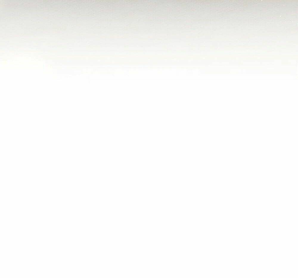 Dưới Tán Cây Sồi Chapter 50.1 - Trang 2