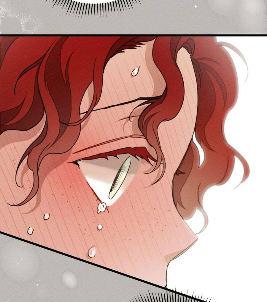 Dưới Tán Cây Sồi Chapter 50.2 - Trang 2