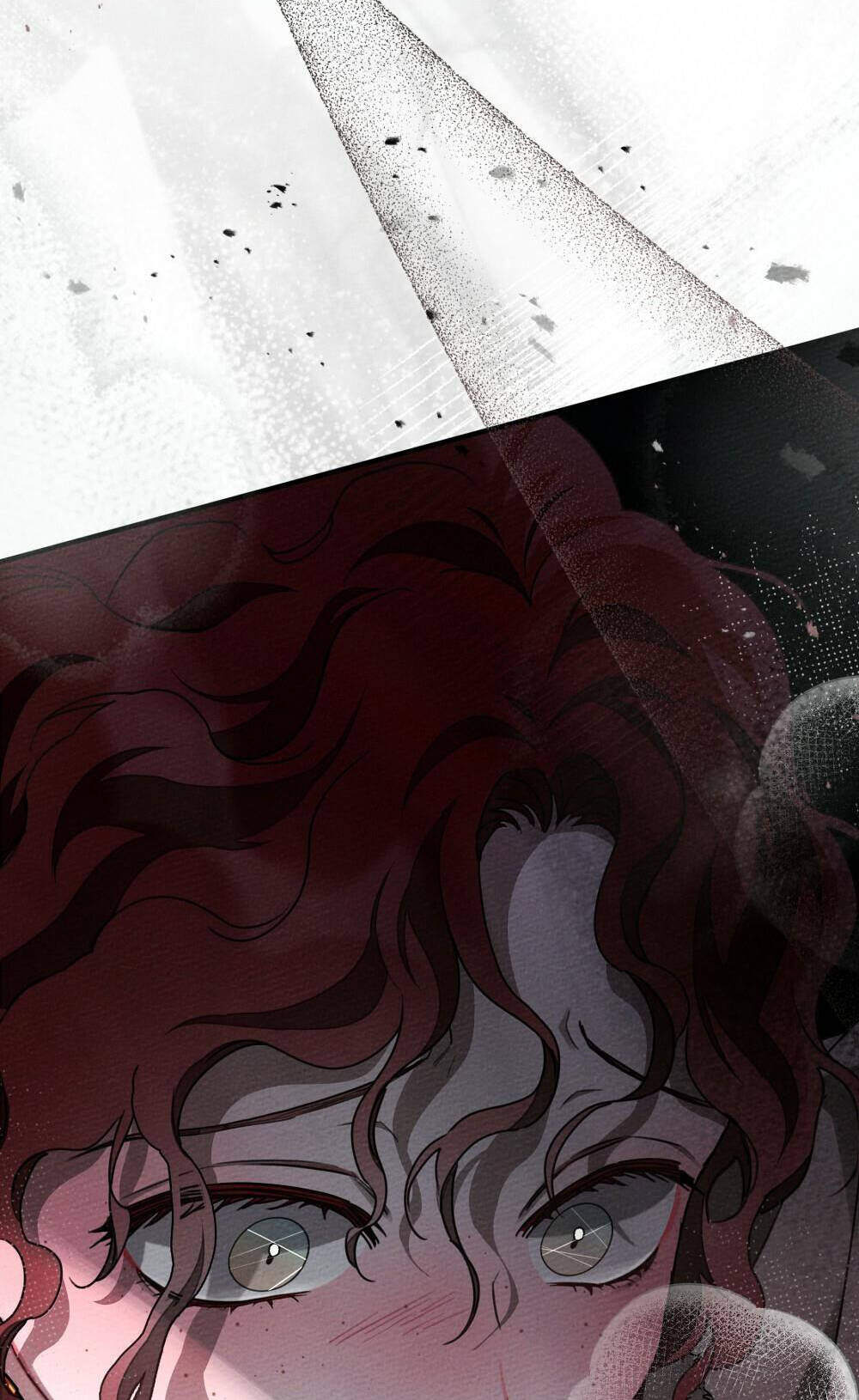 Dưới Tán Cây Sồi Chapter 54.2 - Trang 2