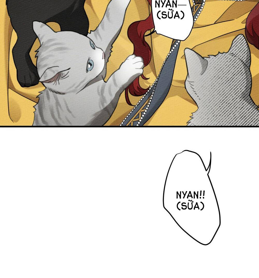 Dưới Tán Cây Sồi Chapter 56.2 - Trang 2