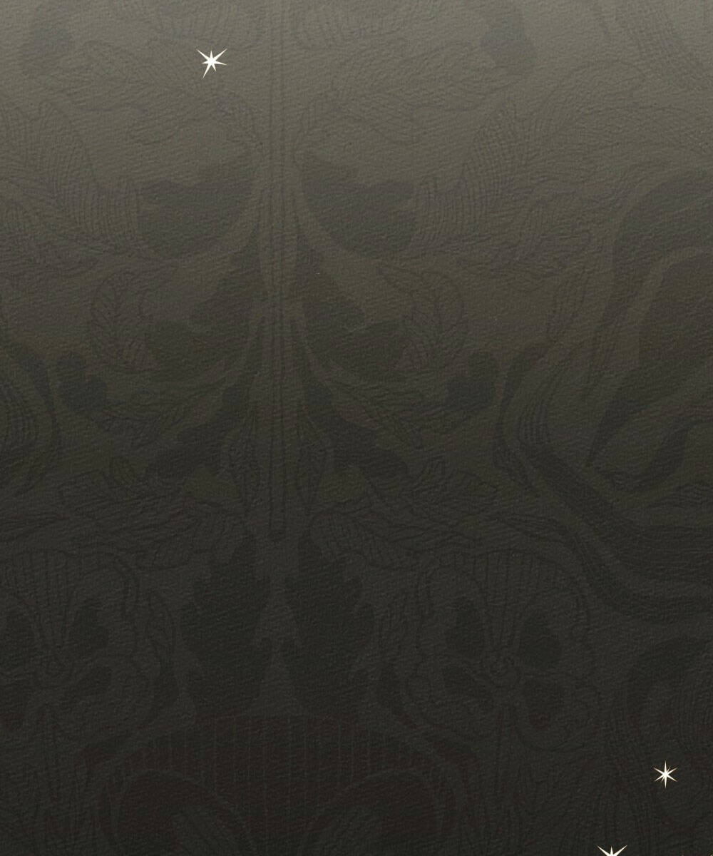 Dưới Tán Cây Sồi Chapter 57.2 - Trang 2