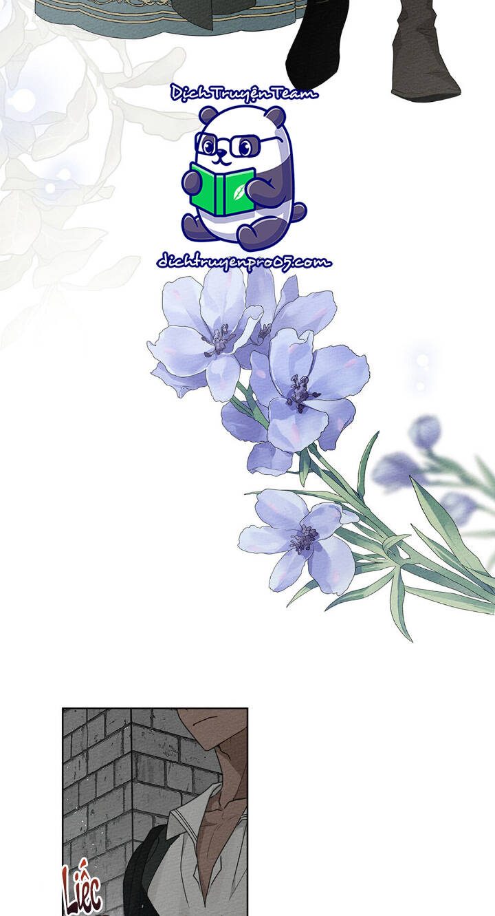 Dưới Tán Cây Sồi Chapter 78 - Trang 2