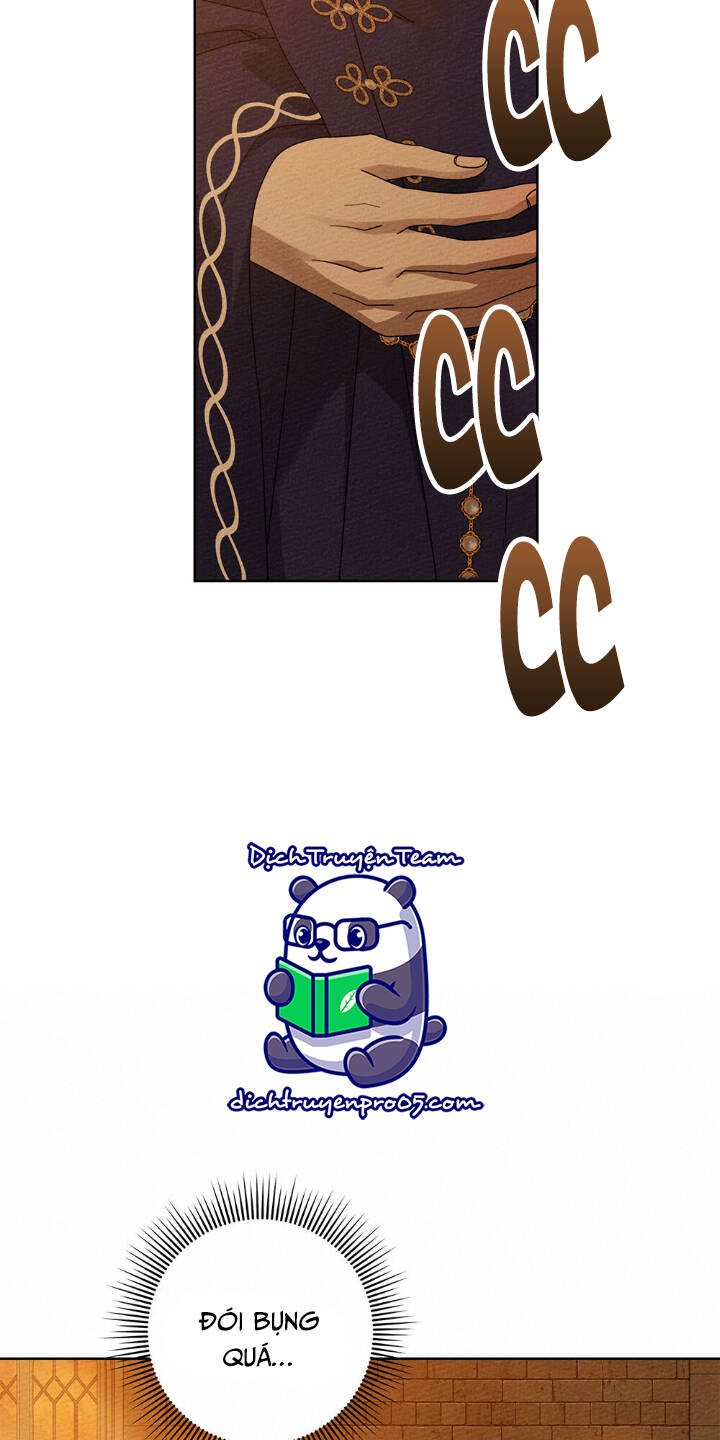 Dưới Tán Cây Sồi Chapter 81 - Trang 2