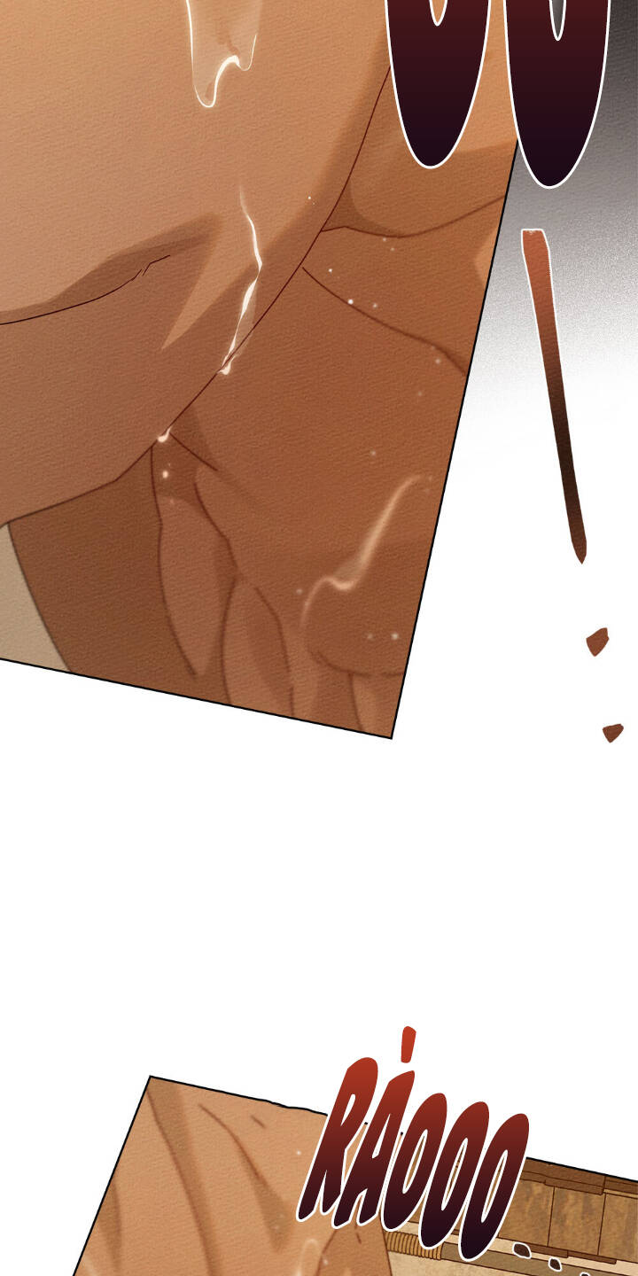 Dưới Tán Cây Sồi Chapter 81 - Trang 2