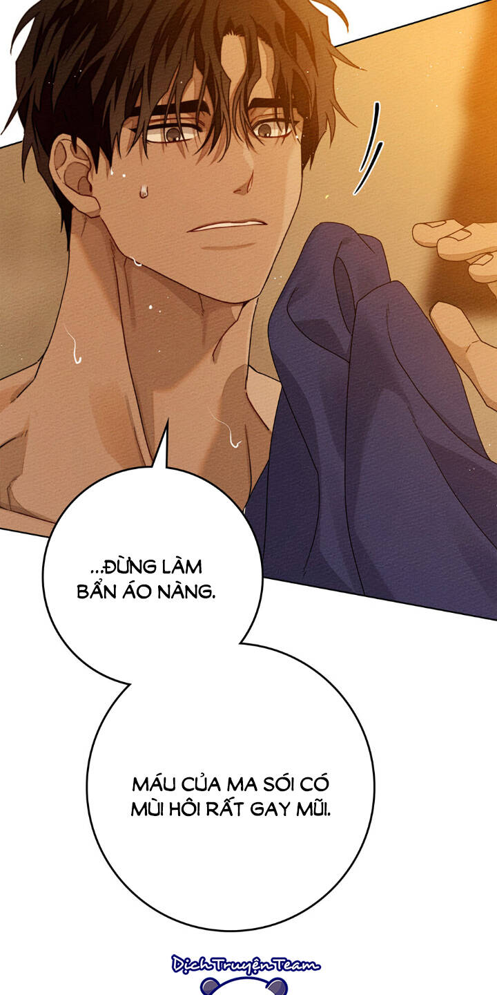 Dưới Tán Cây Sồi Chapter 81 - Trang 2